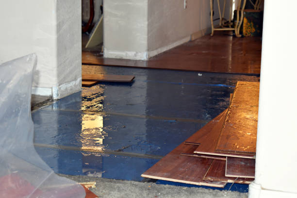 Professional Water Damage Restoration technician working in Clarksville, IA